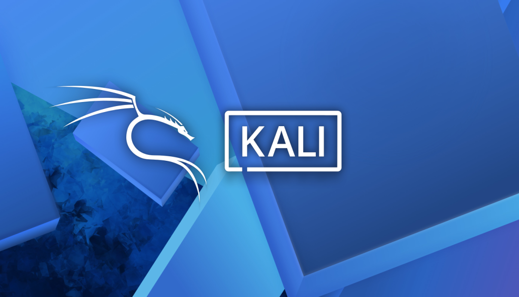 Kali 升级版本后看不见鼠标的问题